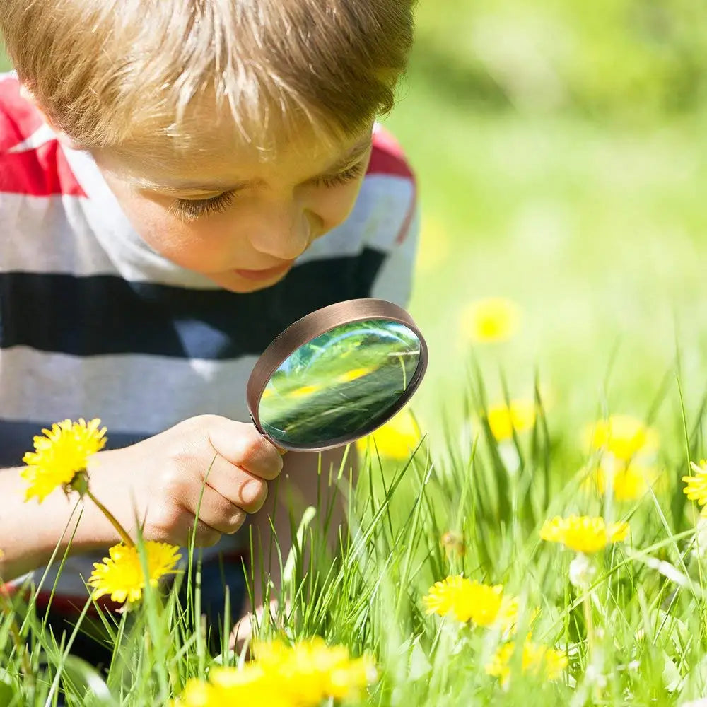 Lupa em Madeira Magnus